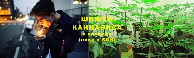 Бошки Шишки White Widow  Петровск 